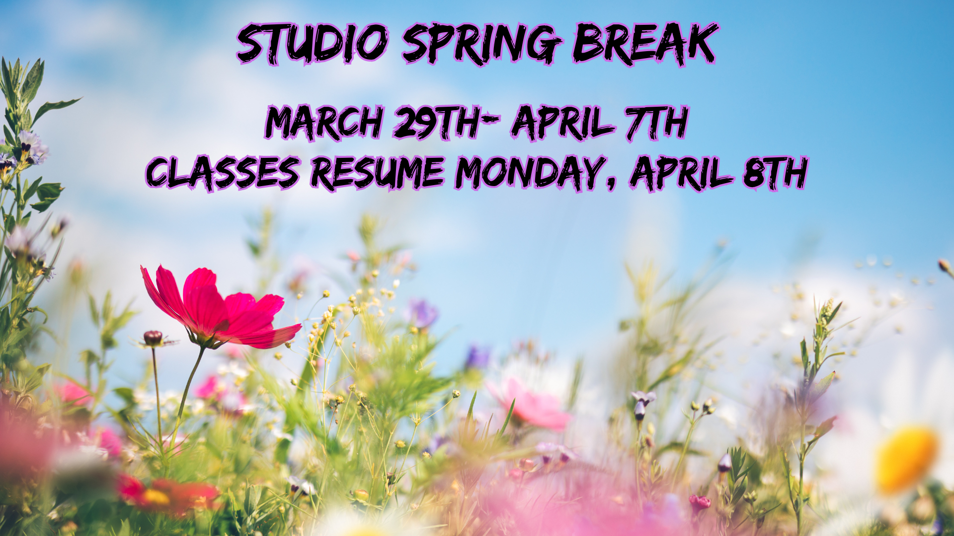Studio Spring Break 2024